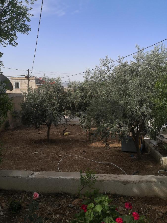 White Tulips Apartment الزنبقة البيضاء Jarash Eksteriør bilde