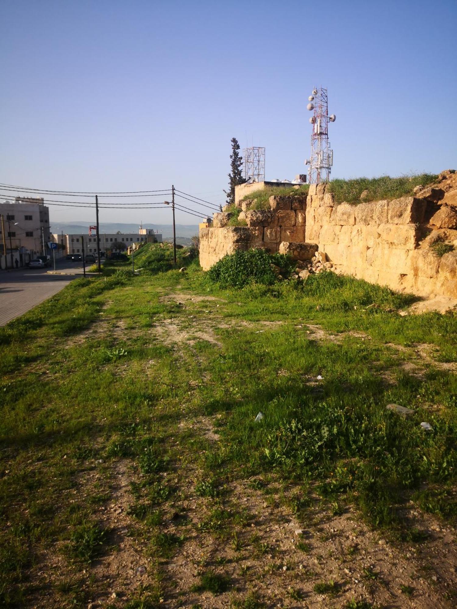 White Tulips Apartment الزنبقة البيضاء Jarash Eksteriør bilde