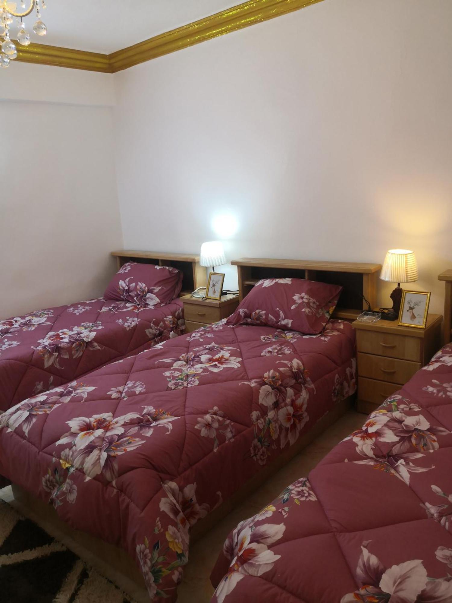 White Tulips Apartment الزنبقة البيضاء Jarash Eksteriør bilde
