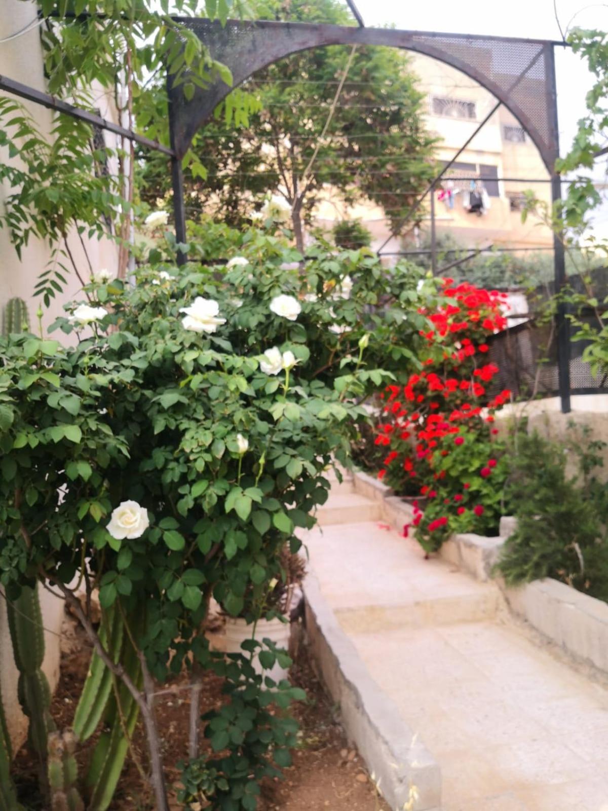 White Tulips Apartment الزنبقة البيضاء Jarash Eksteriør bilde